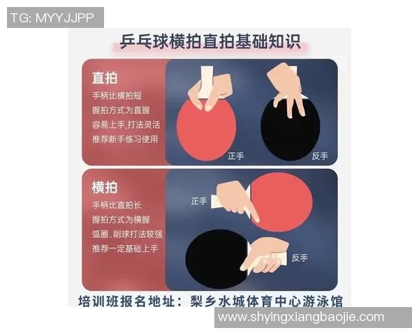 从零基础到高手之路乒乓球节奏与技巧全面解析指南 从零基础到高手之路乒乓球节奏与技巧全面解析指南