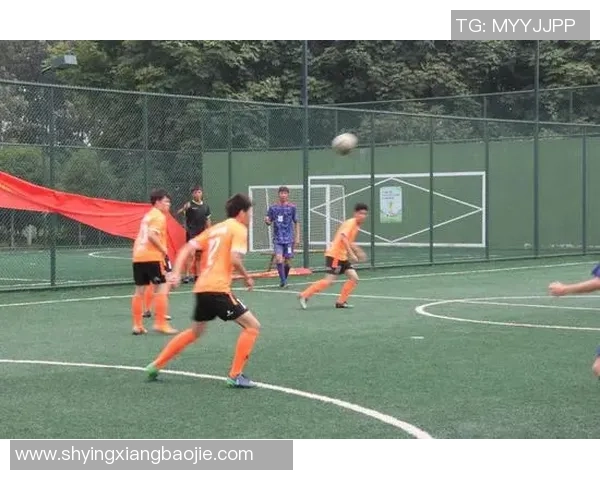 南京网球队阵地战革新之路：从传统到现代的全面转型探索