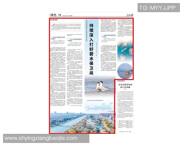 南京攀岩队战术分析：深入解读其防反打法的独特策略与应用