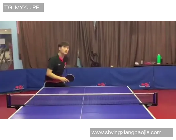 深入分析广州乒乓球队阵地战打法的战术特点与实践应用